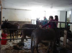 Zu Besuch bei Familie Gstettenhofer
