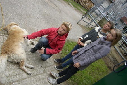 Heilp&auml;dagogisches Voltigieren