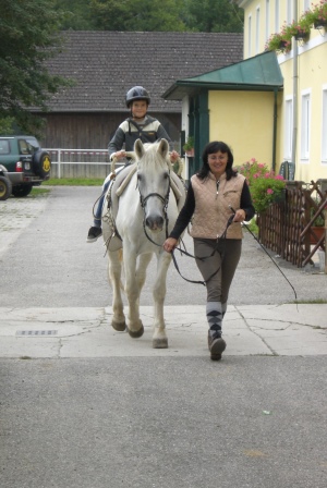 Heilp&auml;dagogisches Voltigieren