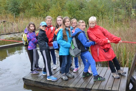 Waldviertel I