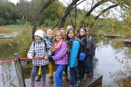 Waldviertel I