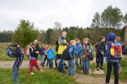 Waldviertel II