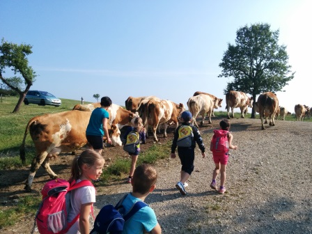 Bauernhofbesuch