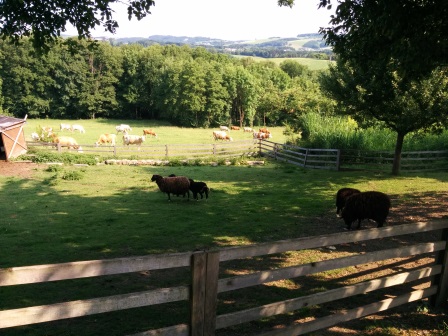 Bauernhofbesuch