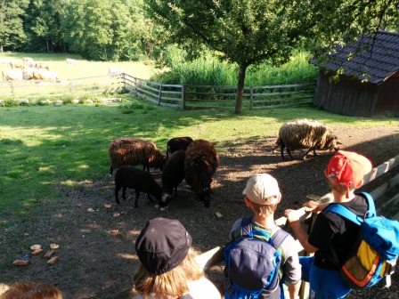 Bauernhofbesuch