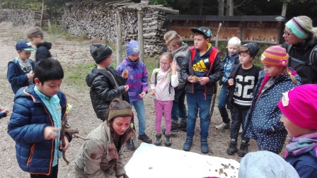 Exkursion auf den Buchenberg