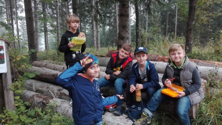 Exkursion auf den Buchenberg