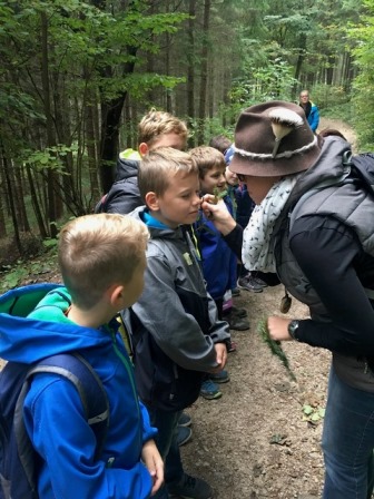 Exkursion auf den Buchenberg