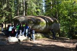 Waldvierteltage
