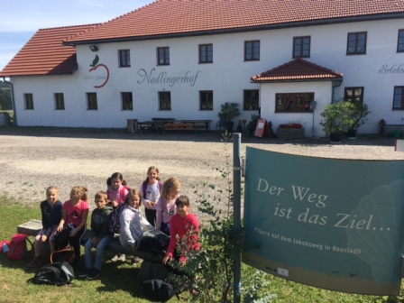 Wandertag der 4. Klassen