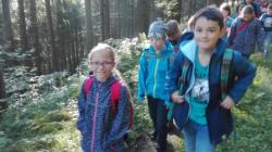 Wandertag der 4. Klassen